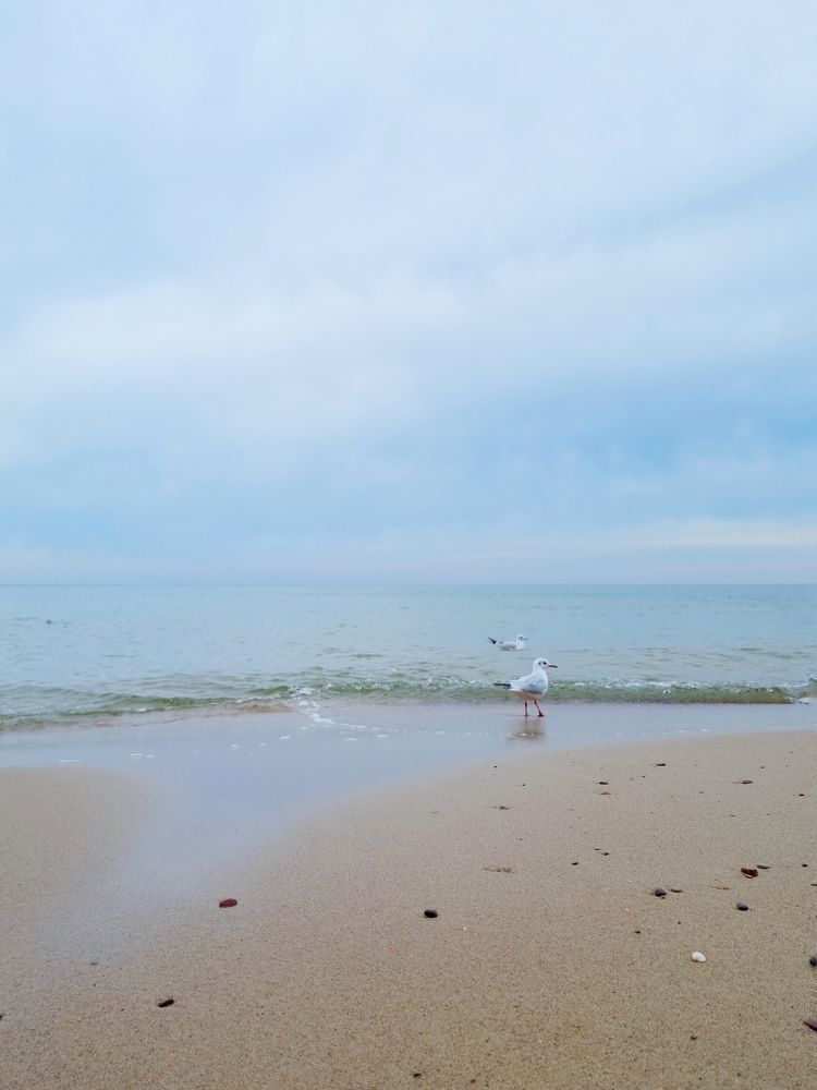 Photograph by Александра Кузнецова