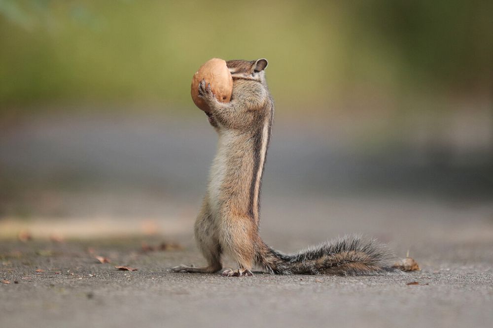 Photograph by Мария Овсечук