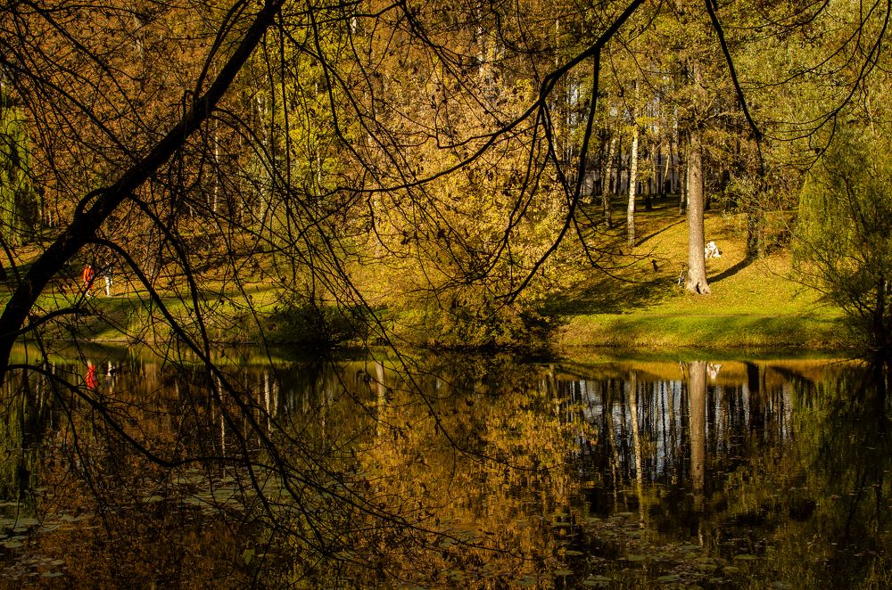 Photograph by Грашин Игорь Алексеевич