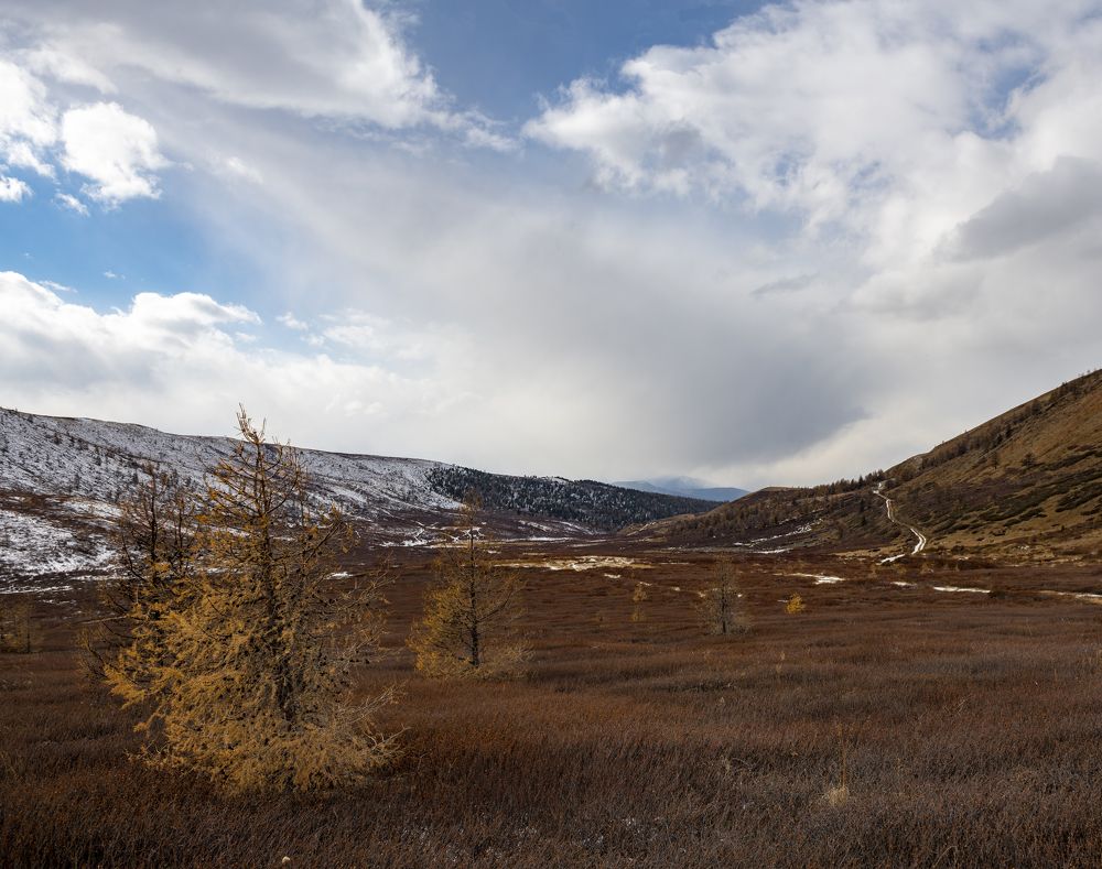 Photograph by Сергей Шерстнев