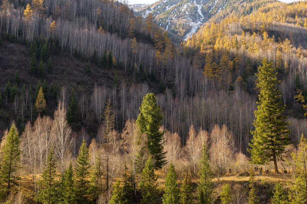 Photograph by Сергей Шерстнев