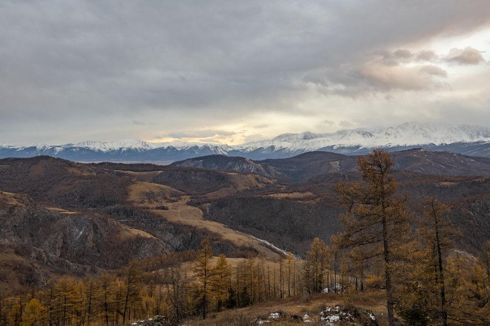 Photograph by Сергей Шерстнев