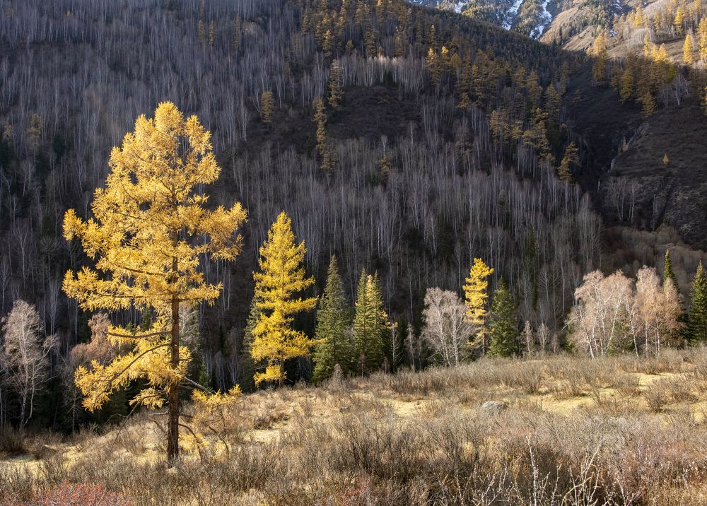 Photograph by Сергей Шерстнев