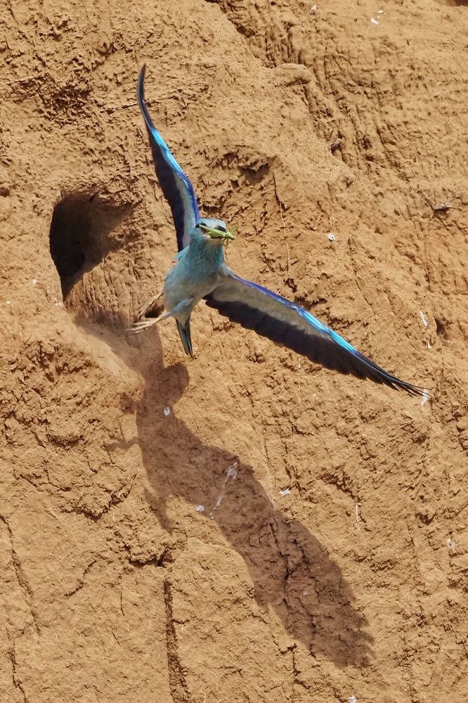 Photograph by Markov Alexander