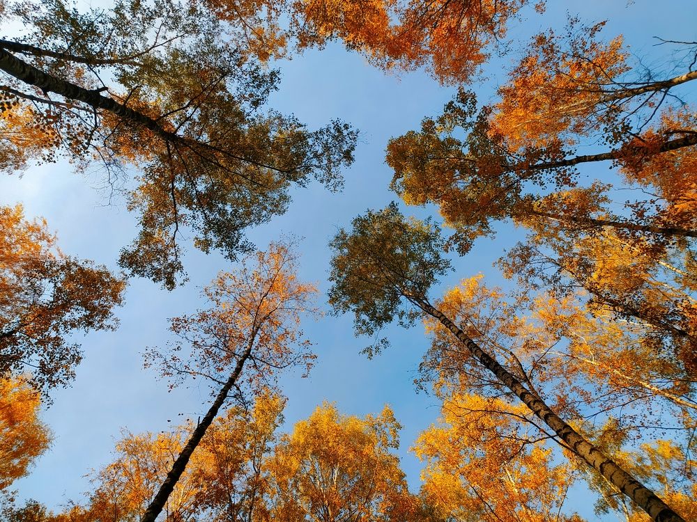 Photograph by Ирина Половцева