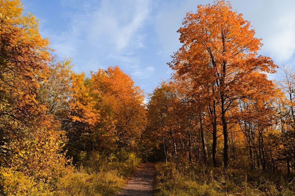 Photograph by Бадаев Антон