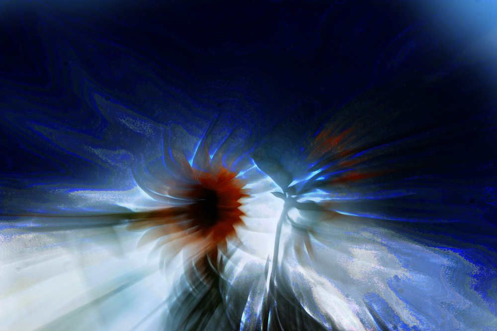 Единство противоположностей