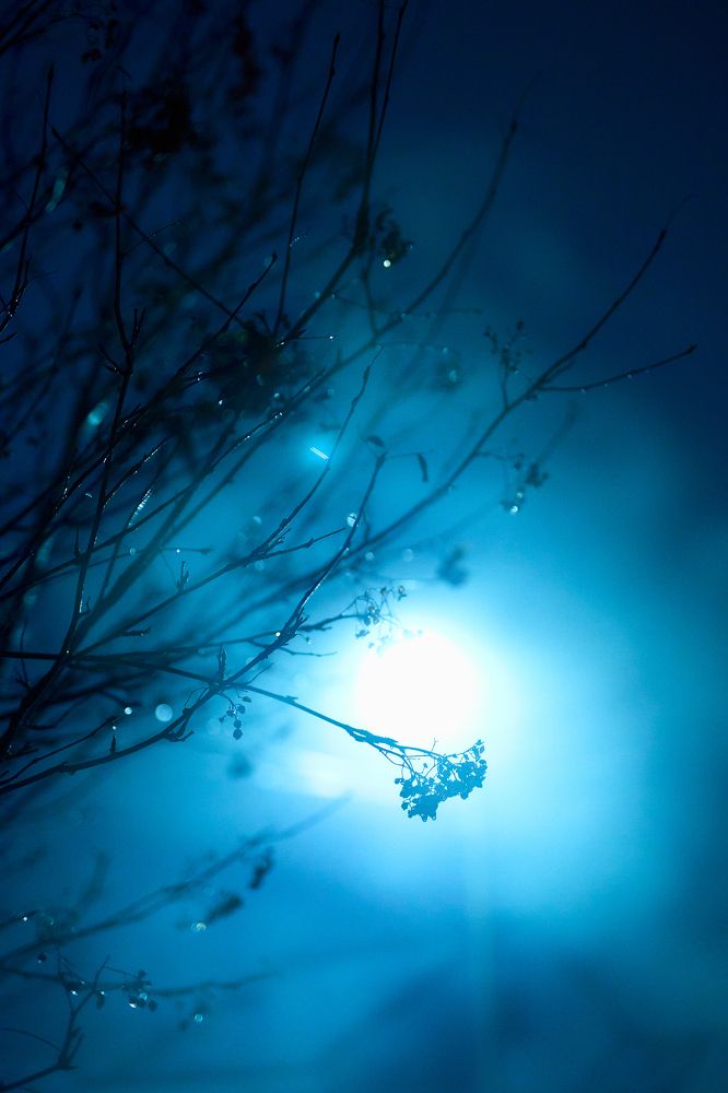 Фотография автора Вадим Белов