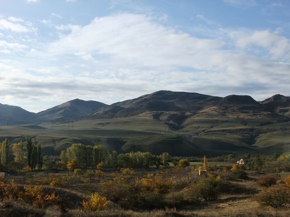 Photo #8312949