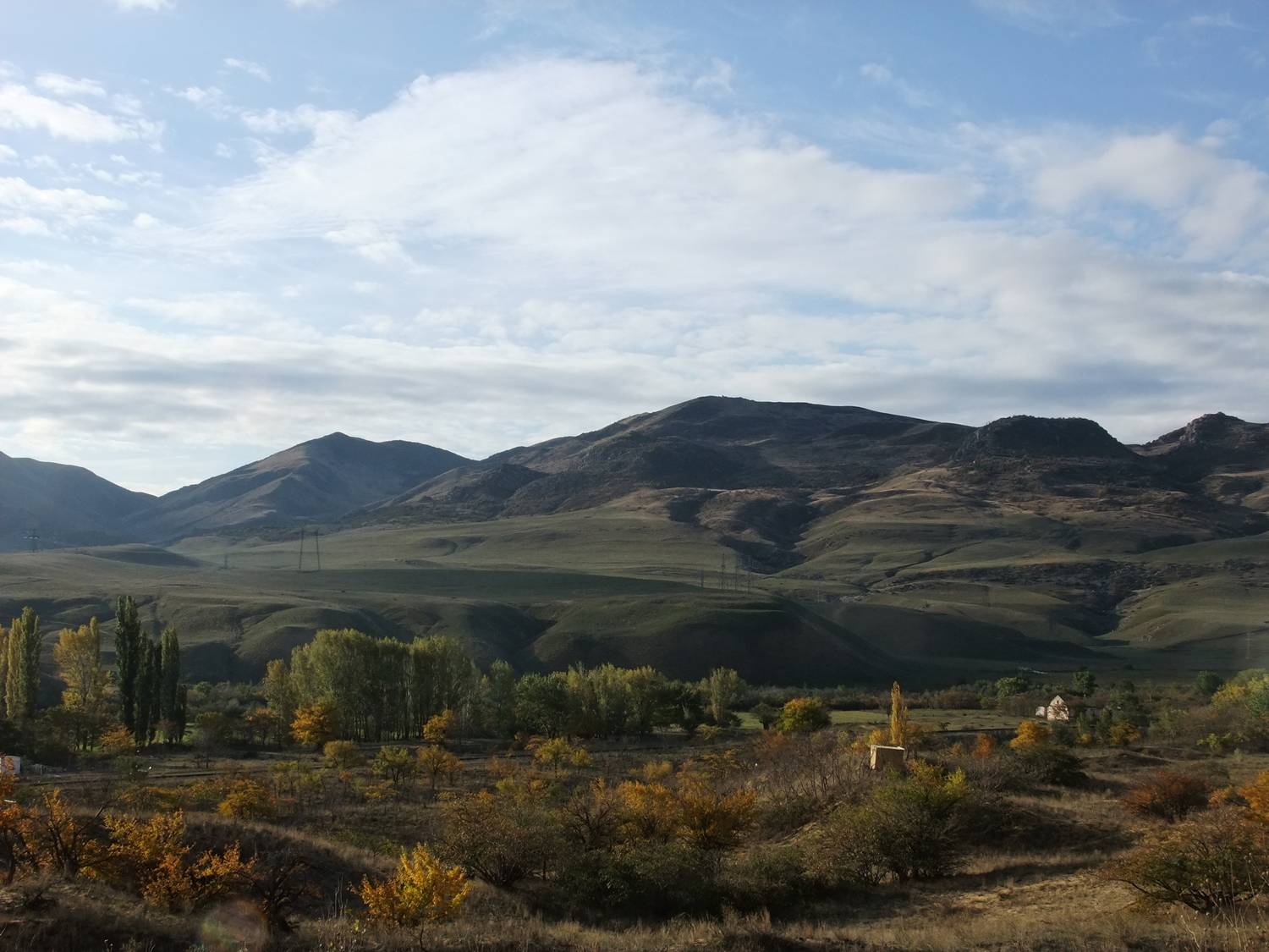 Photo #8312949