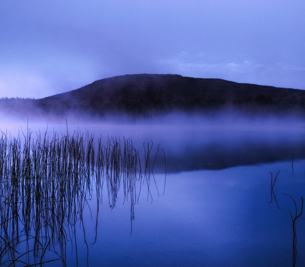 Photograph by Настя Хомастя