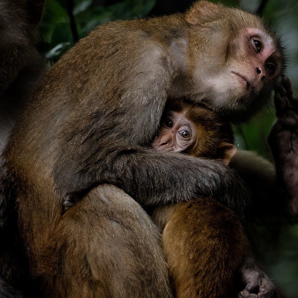 Photograph by Ashwani kasid