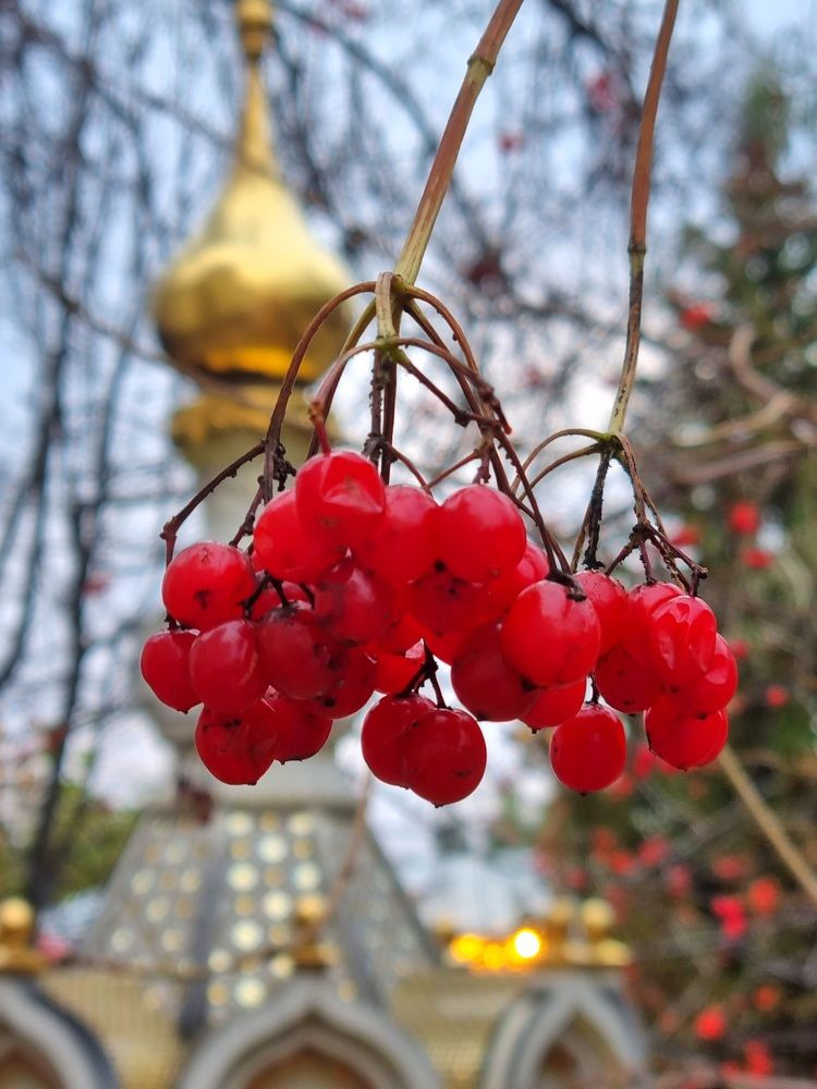 Photograph by Ангелина Шикина