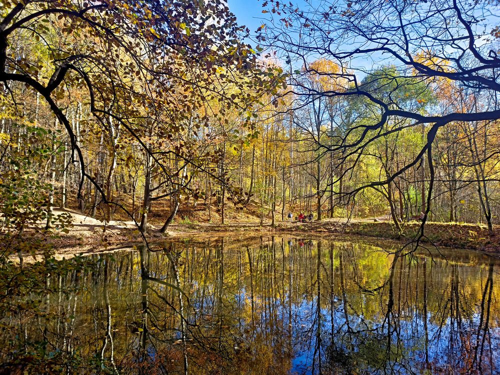 Photograph by Екатерина Дзюба