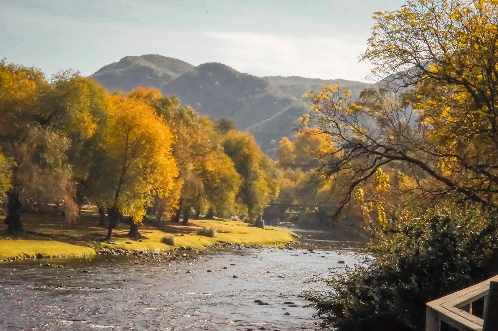 Photograph by Karina Elena Bergagna