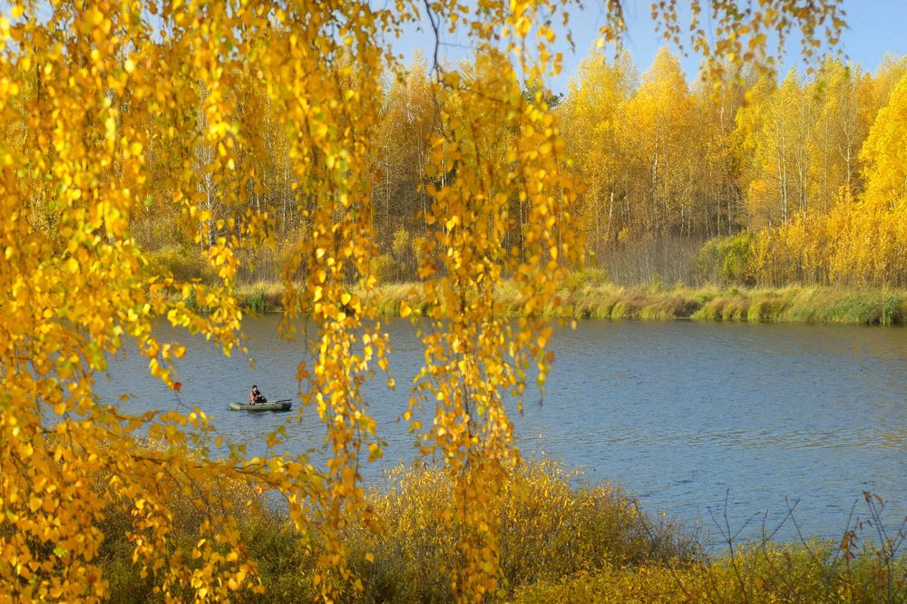 Photograph by vladilenoff