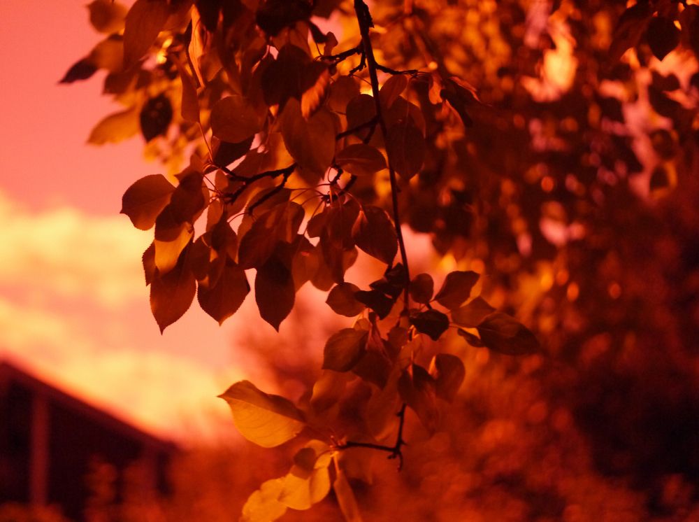 Photograph by Баженова Наталья