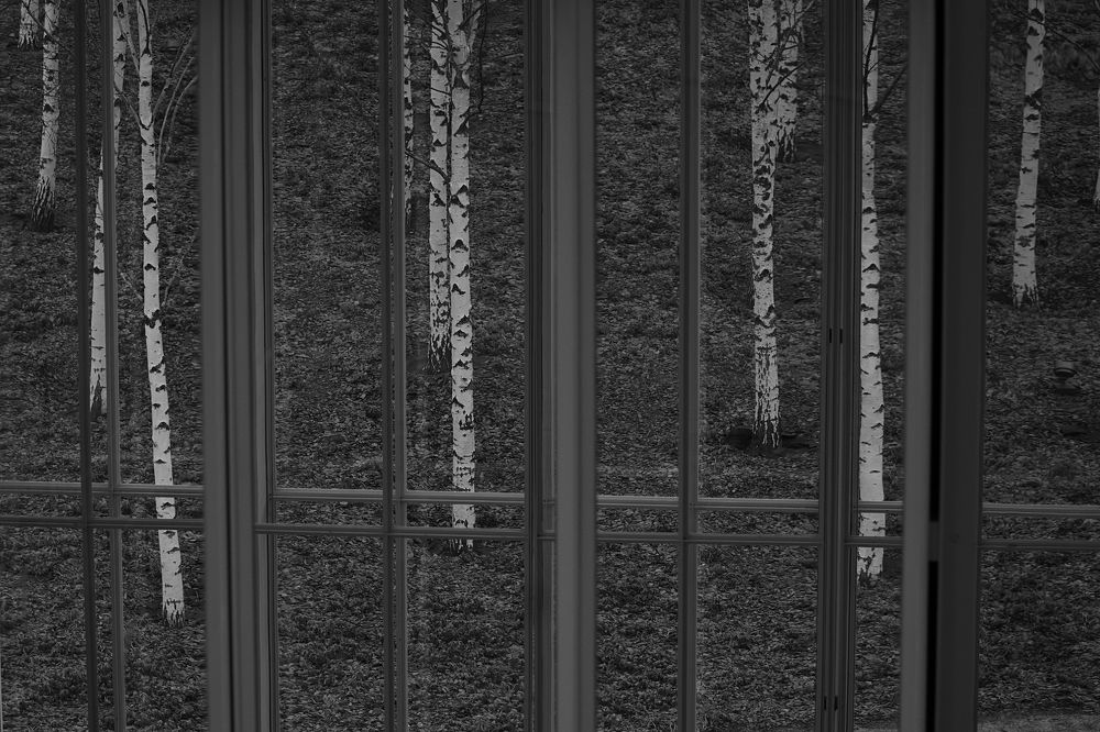 Photograph by Вера Нестеренко