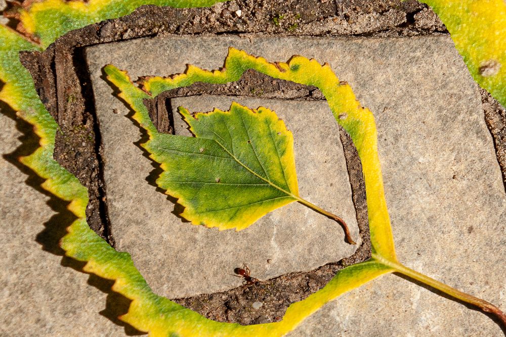 Photograph by Андрей Егоров