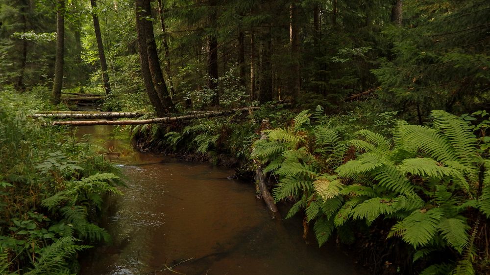 Фотография автора Boris Yakovlev