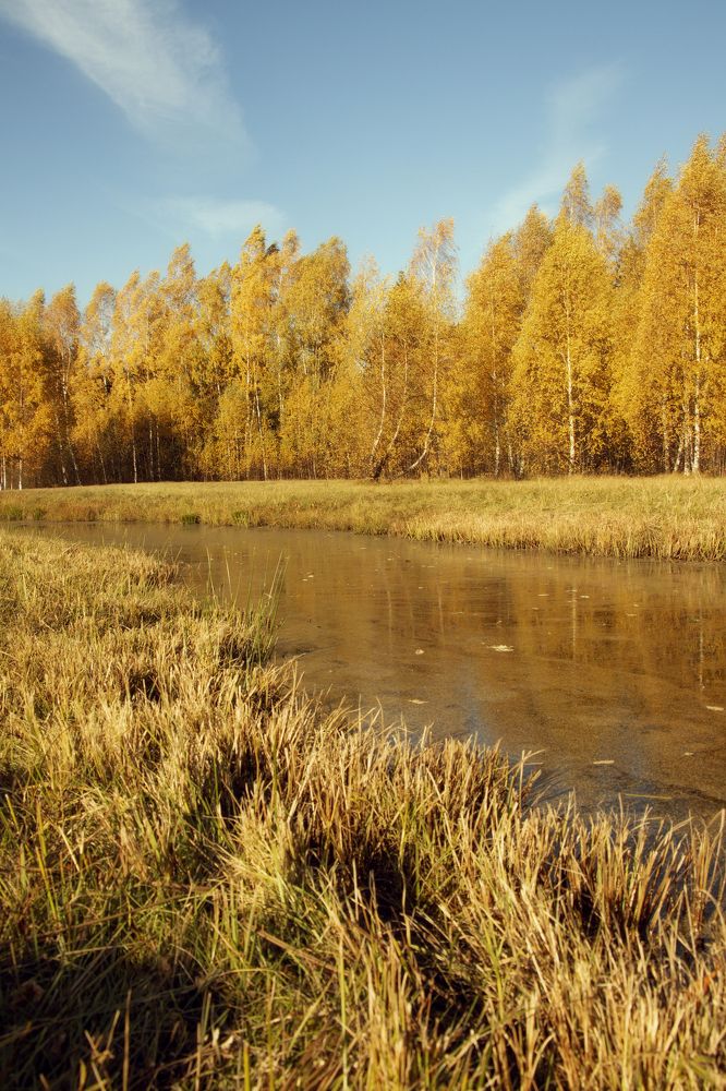 Photograph by Вязаницына Наталья Алексеевна