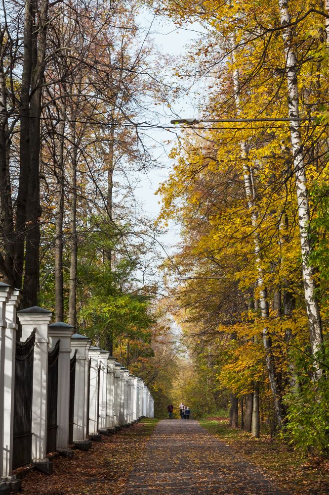 Photograph by Валерия Паули