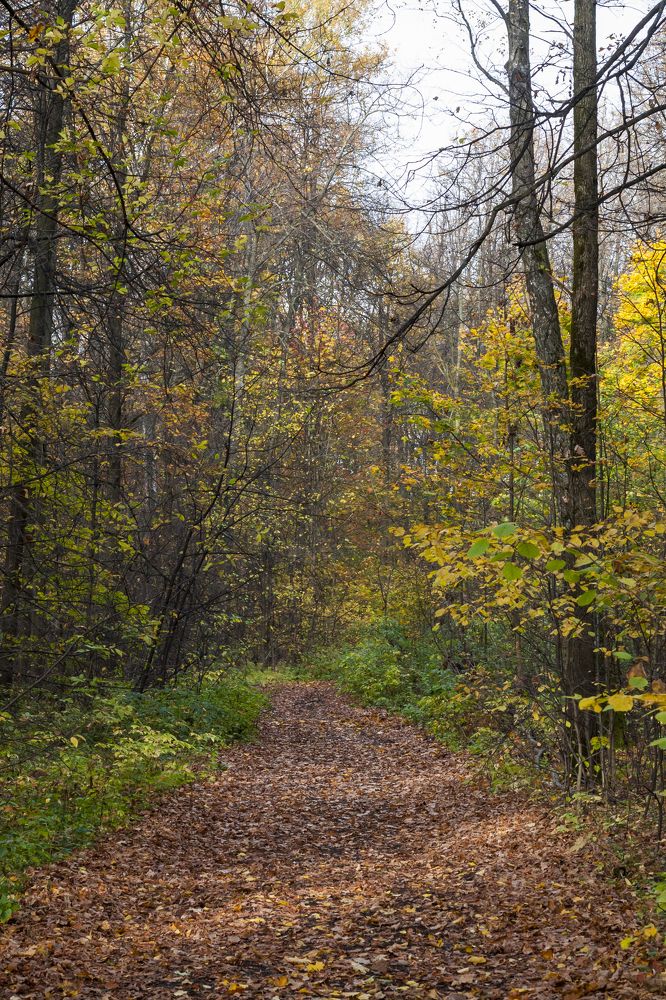 Photograph by Валерия Паули