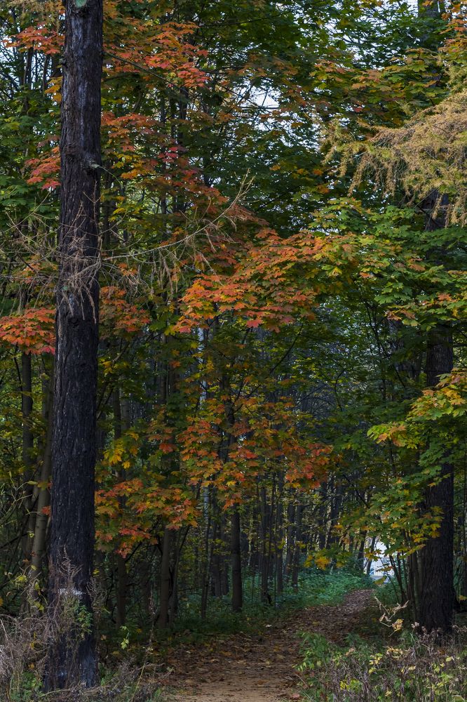 Photograph by Валерия Паули