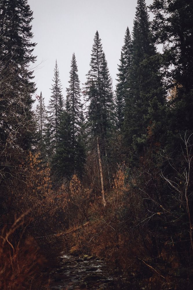 Photograph by Анна Балова