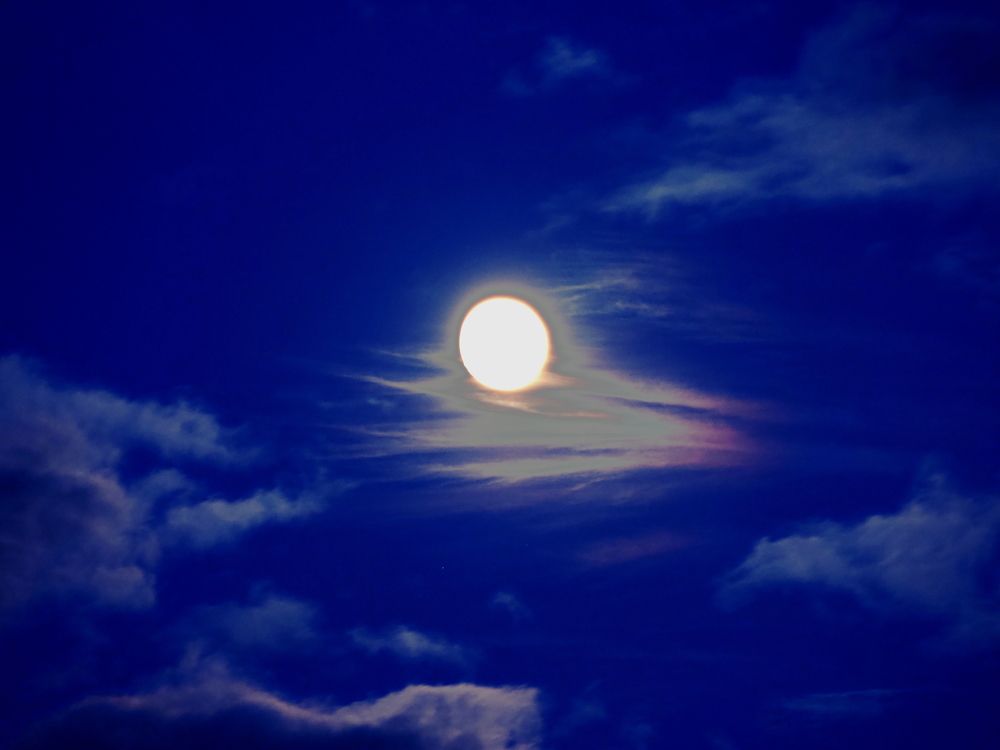 Photograph by Markov Alexander