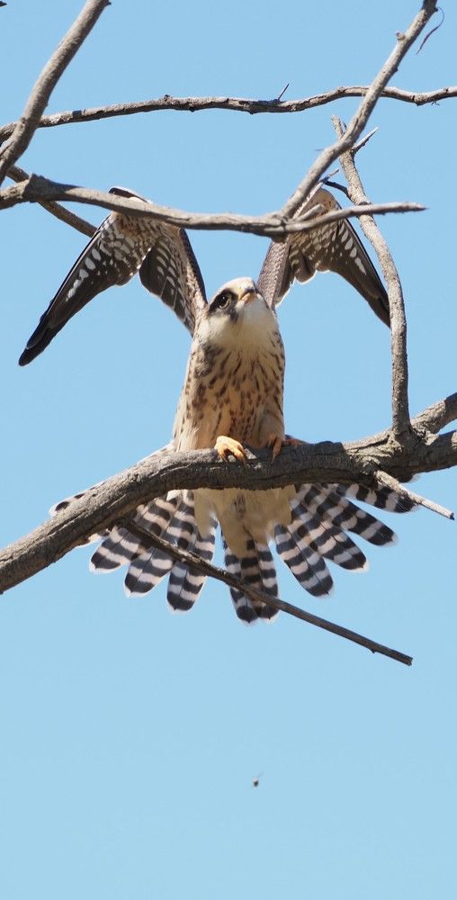 Photograph by Markov Alexander