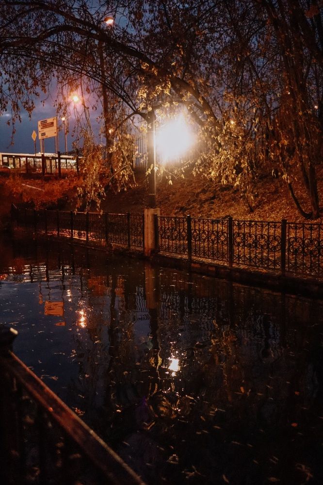 Фотография автора Виктория