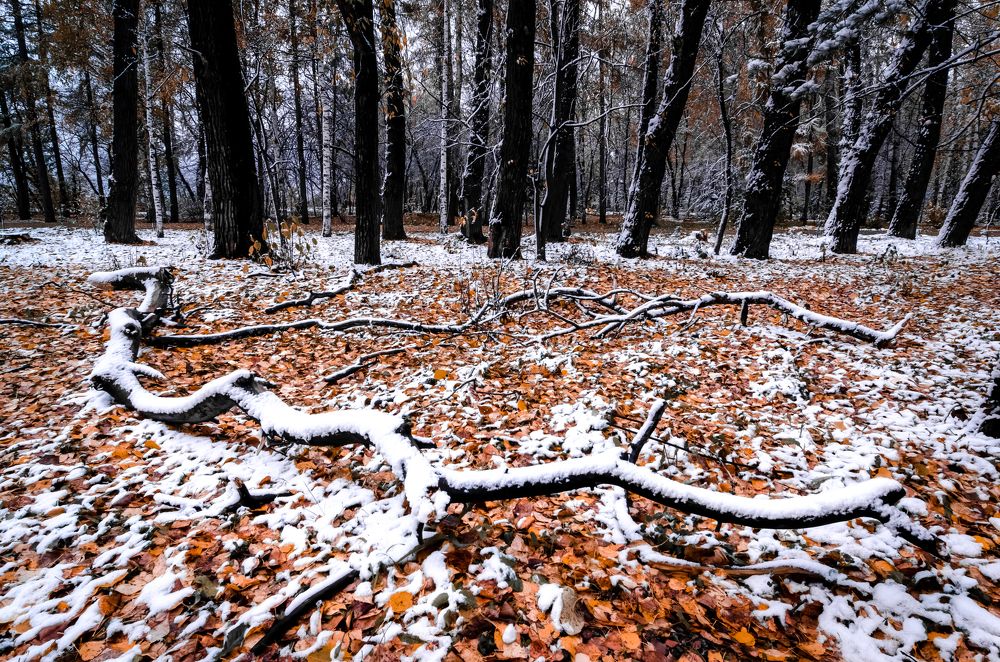 Photograph by Кирилл Савенко