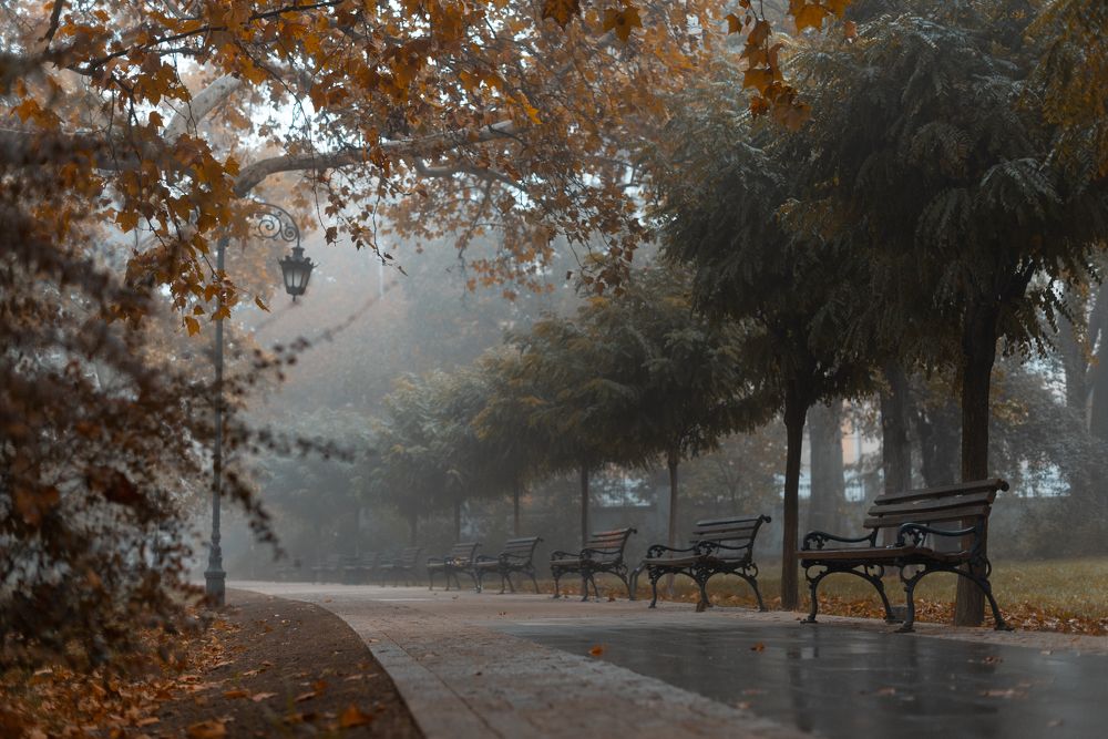 Photograph by Анна Чеснокова