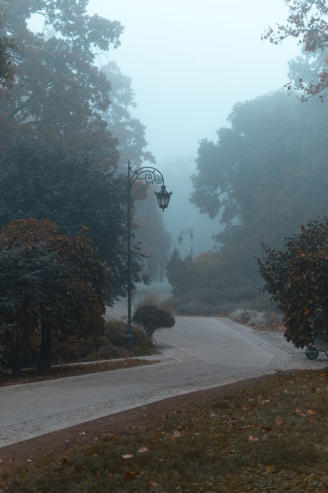 Photograph by Анна Чеснокова