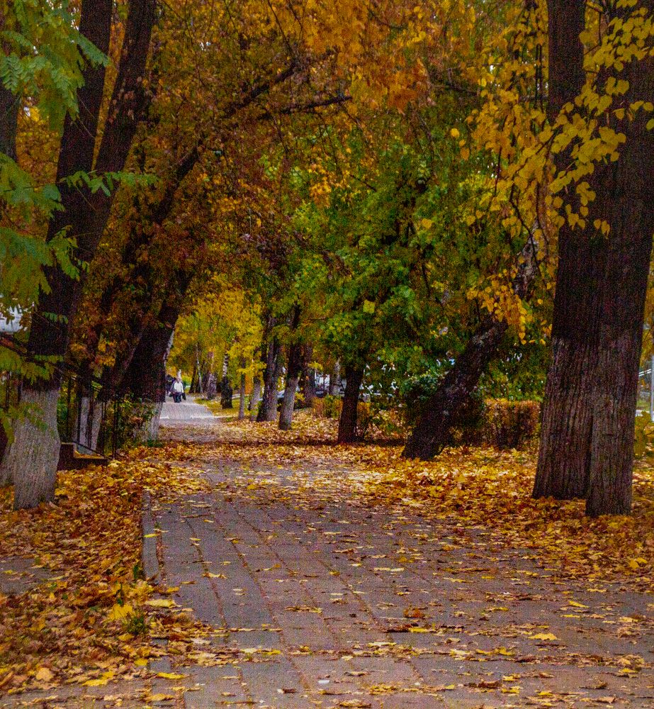 Photograph by Ирина Крепак