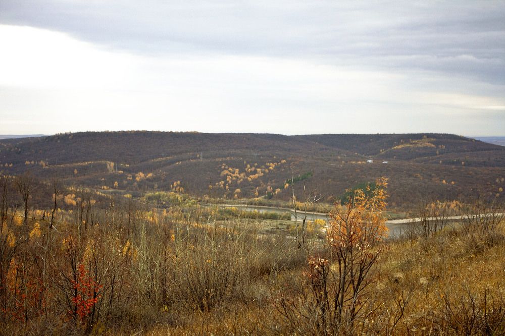 Photograph by Оксана