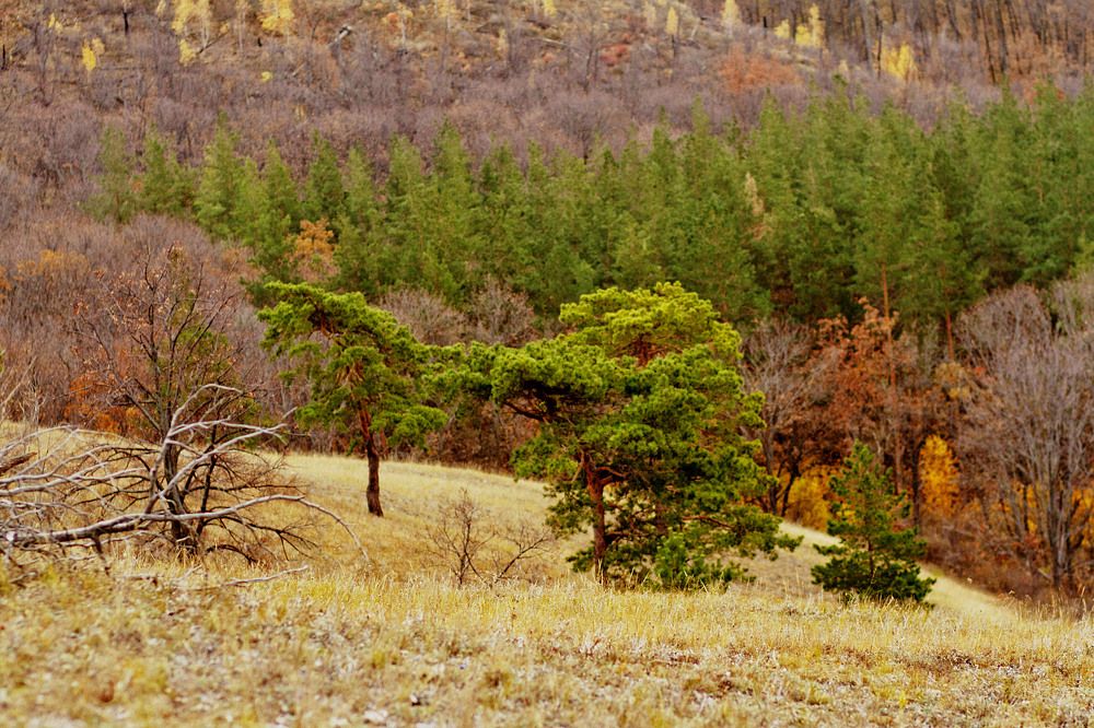 Photograph by Оксана