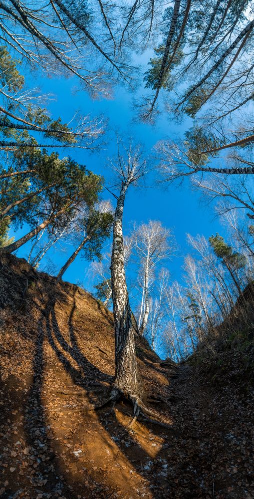 Photograph by Кирилл Савенко