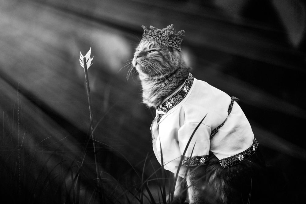 Царь, просто Царь!