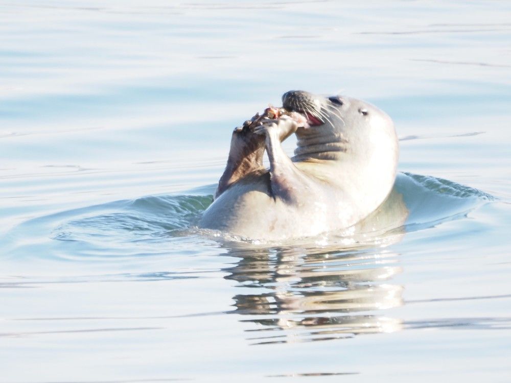 Photograph by Markov Alexander