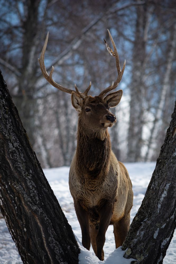 Photograph by Андрей Бобрюк