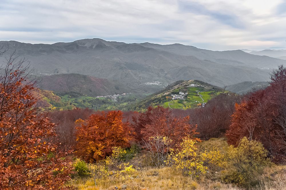 Photograph by Adriano Cascio