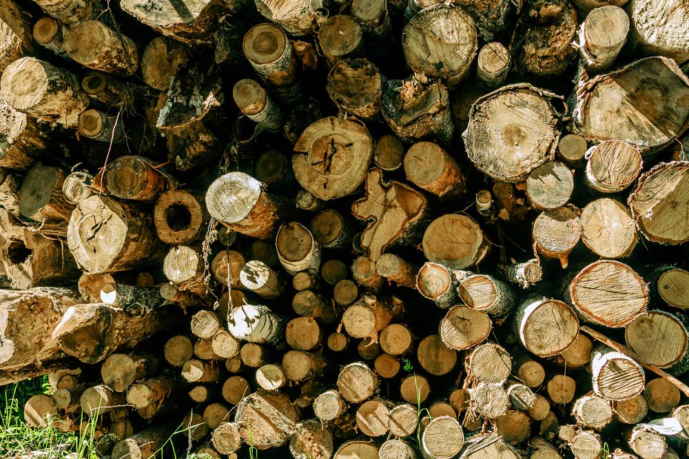 Photograph by Гудз Андрей