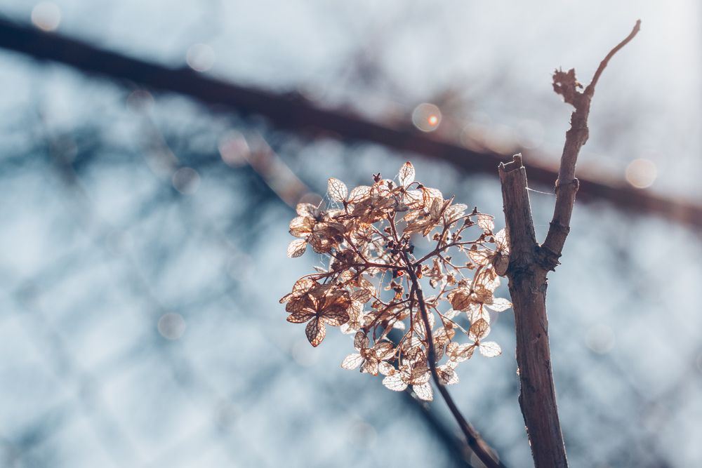 Photograph by Ольга