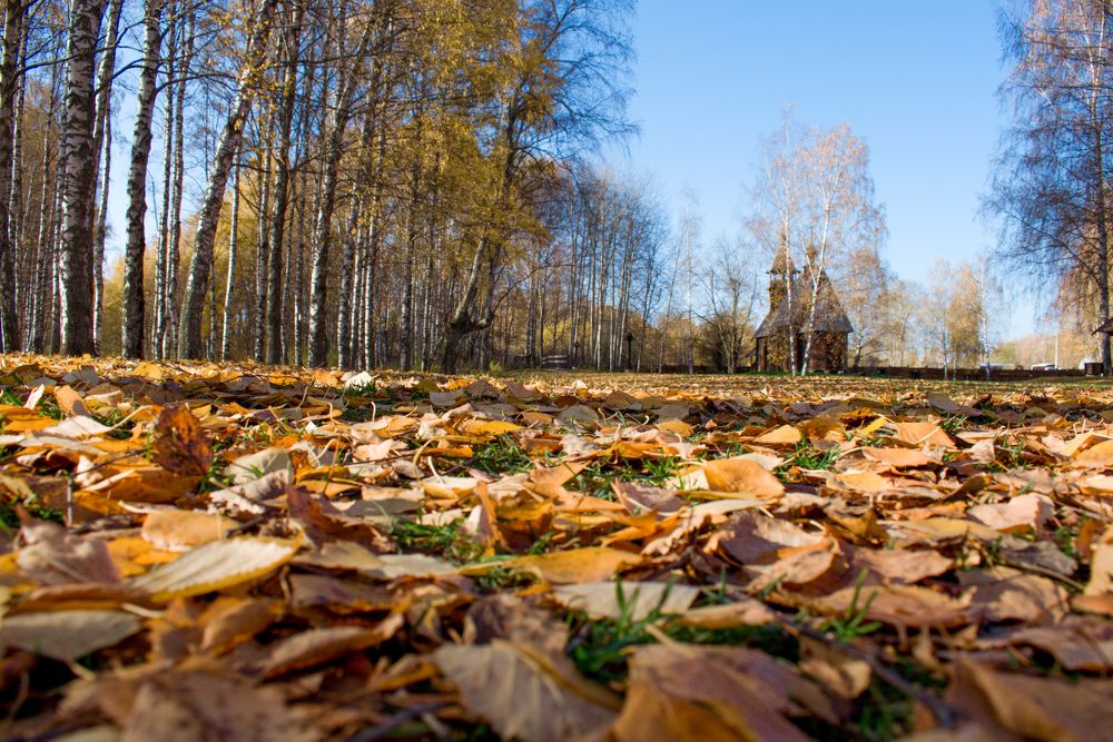 Photograph by Ольга