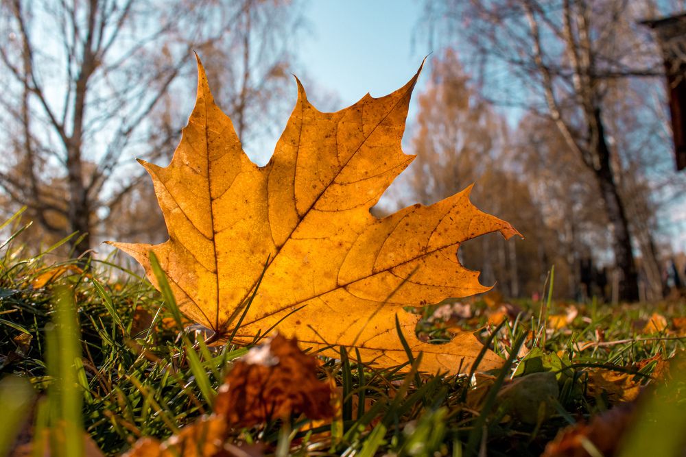 Photograph by Ольга