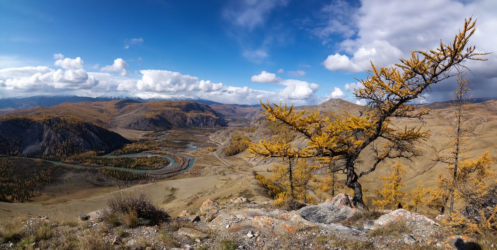 Фотография автора Александр Рудный