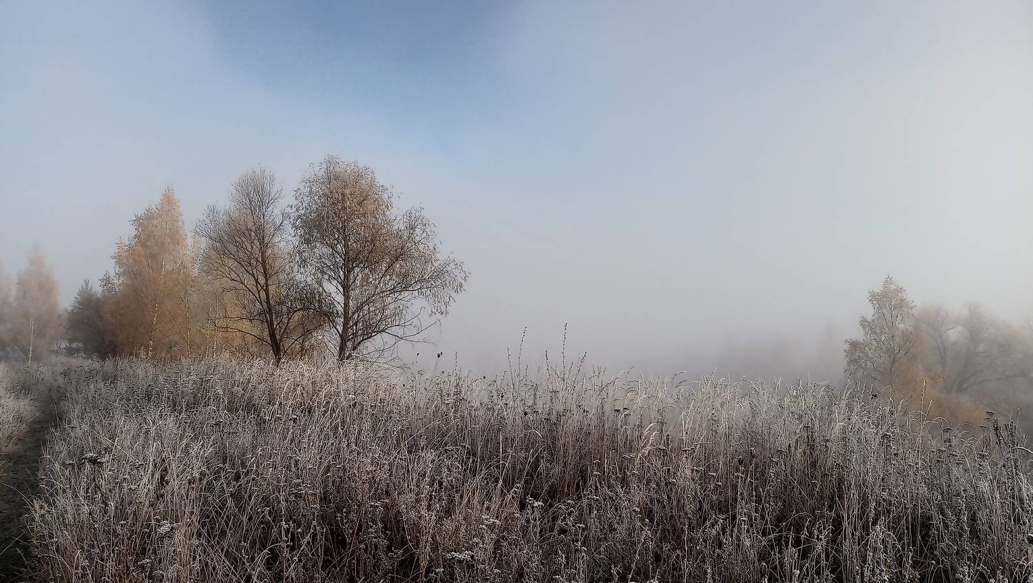 Photo #8313660