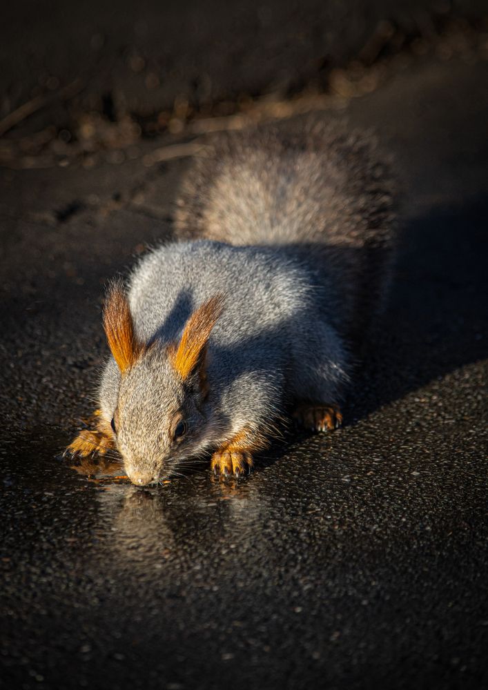 Photograph by Андрей Бобрюк
